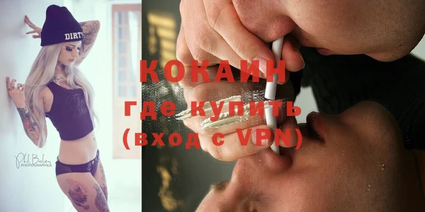 твердый Козловка