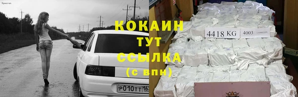 твердый Козловка
