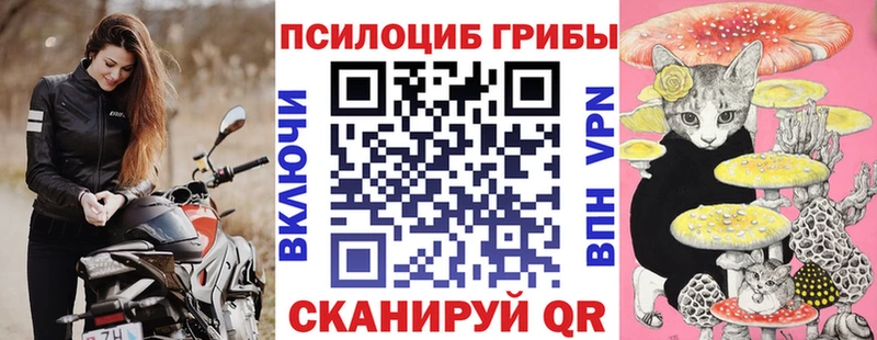 Галлюциногенные грибы Psilocybe Катайск