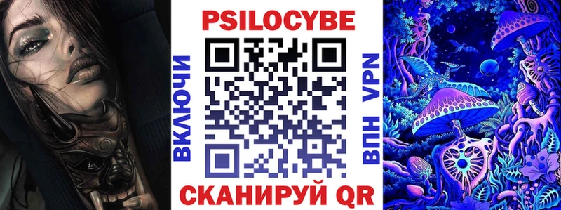 Купить  Катайск  Псилоцибиновые грибы Cubensis 